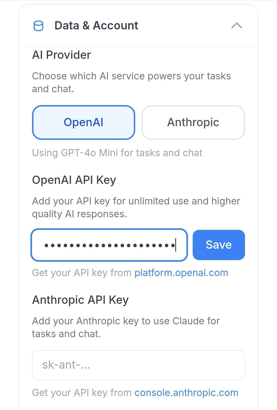 API key field in Archevot showing the green API key saved and working confirmation message
